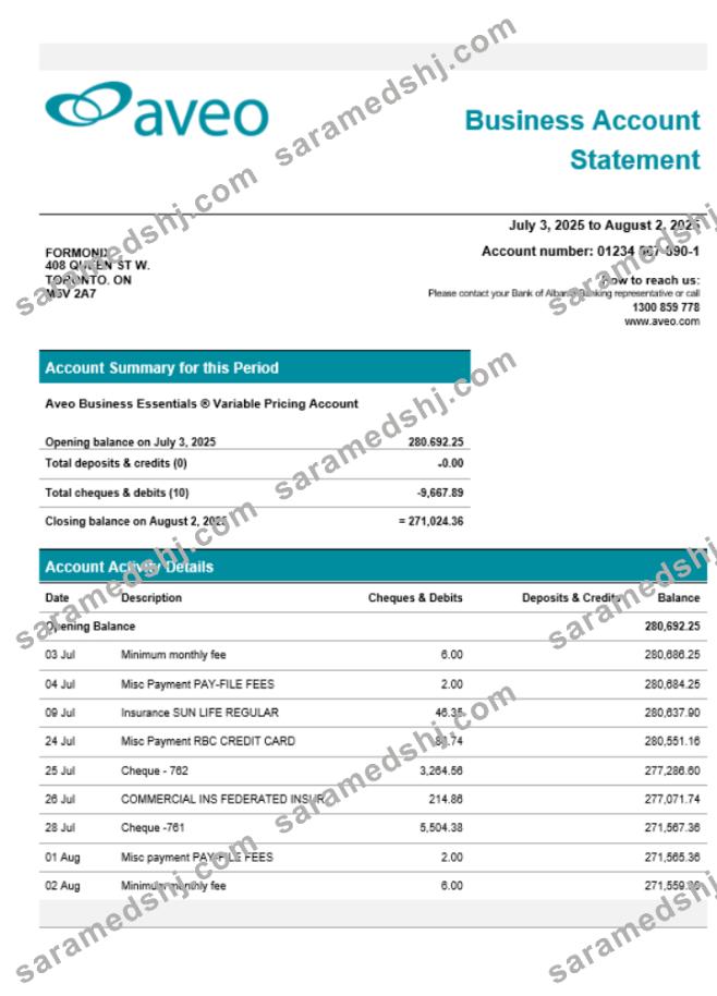 Aveo business firm account statement Word snd PDF format